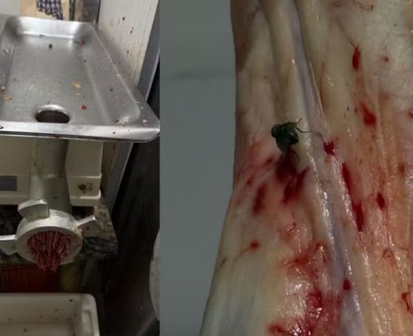 Açougue é interditado após apreensão de 475 kg de carnes em MS. (Foto: Divulgação)