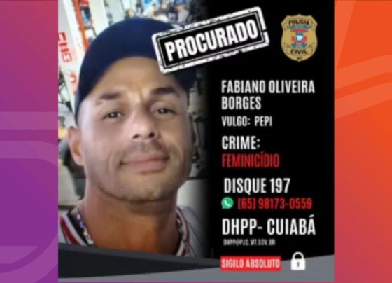 primeira pagina 2026 08 15T105709.837