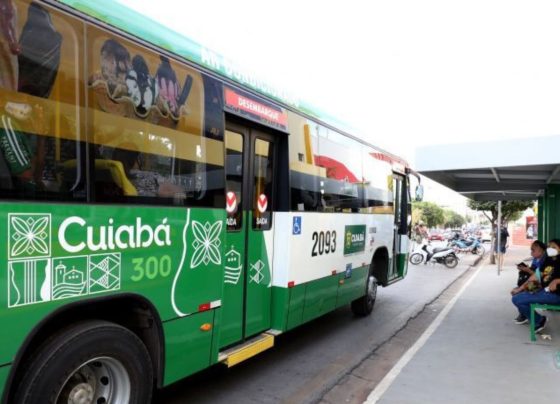 onibus